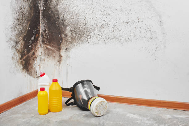 Best Office Mold Removal Services  in Sewaren, NJ