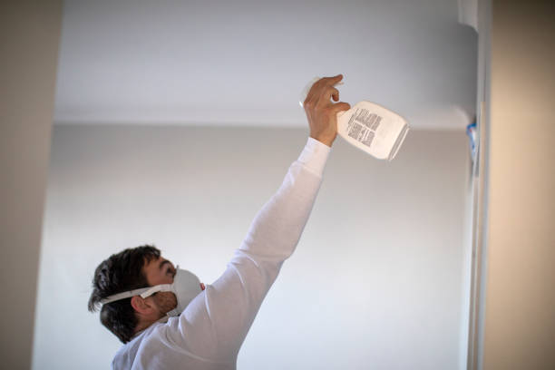 Best Best Mold Removal Companies  in Sewaren, NJ